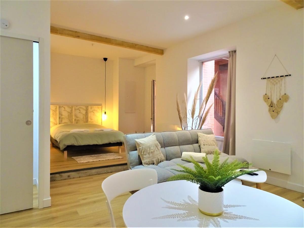 Apartamento Sublime Cocon Pour 2 Aux Portes De La Place Nationale - Proximite Immediate Toutes Commodites Et Sites D'Interets Montauban Exterior foto